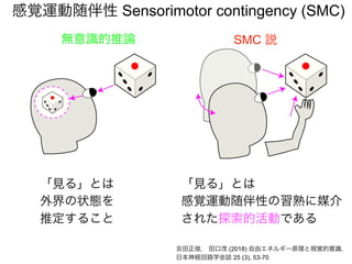 感覚運動随伴性 Sensorimotor contingency (SMC)
無意識的推論 SMC 説
「見る」とは
感覚運動随伴性の習熟に媒介
された探索的活動である
吉田正俊， 田口茂 (2018) 自由エネルギー原理と視覚的意識.
日本神経回路学会誌 25 (3), 53-70
「見る」とは
外界の状態を
推定すること
 