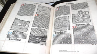 3Franck MICHEL - Université Côte d’Azur, CNRS, Inria, I3S, France
Hortus Sanitatis.
First Natural History encyclopaedia, 1485.
 