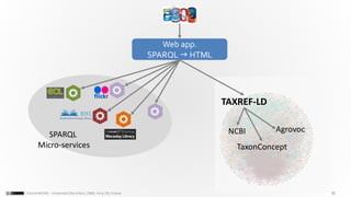 30Franck MICHEL - Université Côte d’Azur, CNRS, Inria, I3S, France
Web app.
SPARQL  HTML
SPARQL
Micro-services
TAXREF-LD
NCBI
TaxonConcept
Agrovoc
 