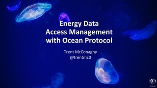 Roadmap
Alpha Aug ‘18, Mainnet Mar ‘19
Energy Data
Access Management
with Ocean Protocol
Trent McConaghy
@trentmc0
 