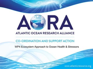 WP4 Ecosystem Approach to Ocean Health & Stressors
 