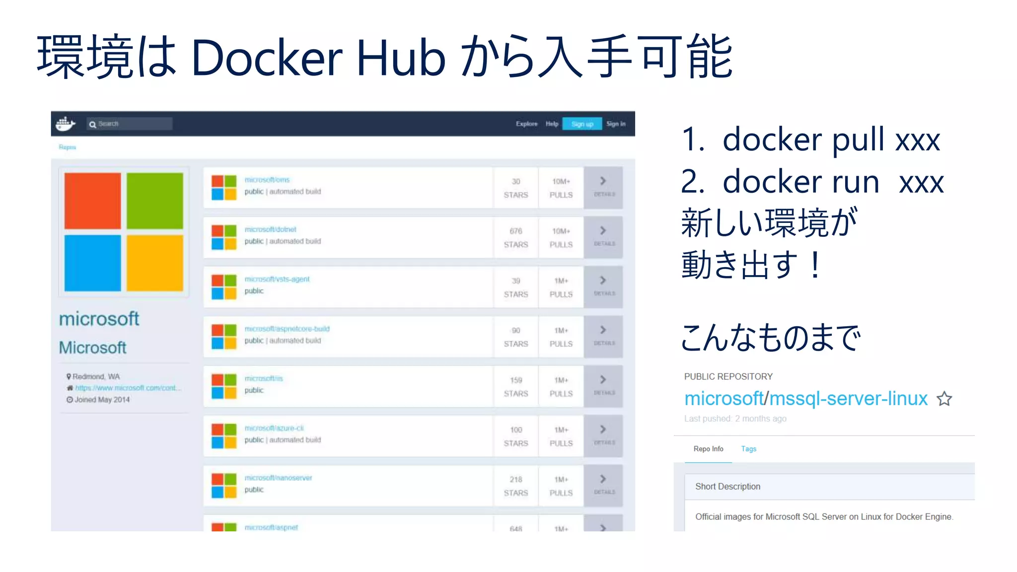 環境は Docker Hub から入手可能
 