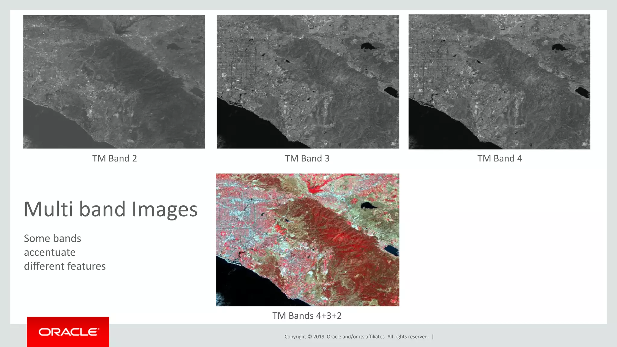 Copyright © 2019, Oracle and/or its affiliates. All rights reserved. |
Multi band Images
TM Band 2 TM Band 3 TM Band 4
TM Bands 4+3+2
Some bands
accentuate
different features
 