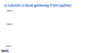 c) Launch a local gateway from python
 