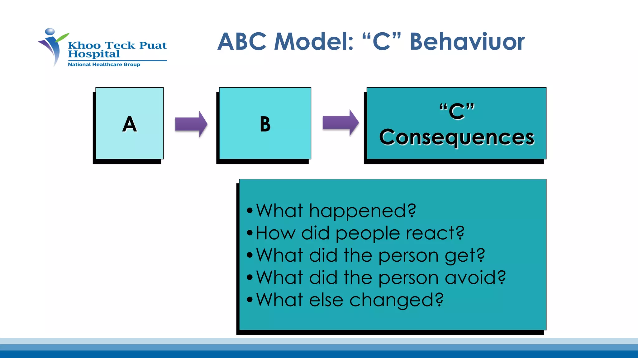 Responsive Behaviors: The Person-Centered Approach | PDF