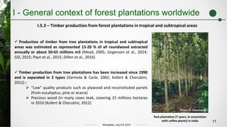 Temporal and spatial analysis of the growth dynamics of large-scale ...