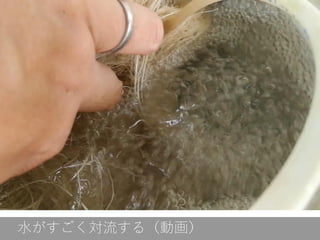 水がすごく対流する（動画）
 