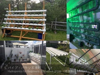 5. パイプ・バケツ系情報
Hydroponics for Beginners / facebook group （情報多い 3.5万人）
 