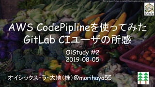AWS CodePiplineを使ってみた
GitLab CIユーザの所感 
オイシックス・ラ・大地（株）@morihaya55
Photo by Alexandr Podvalny on Unsplash: https://unsplash.com/photos/WOxddhzhC1w
OiStudy #2
2019-08-05
 