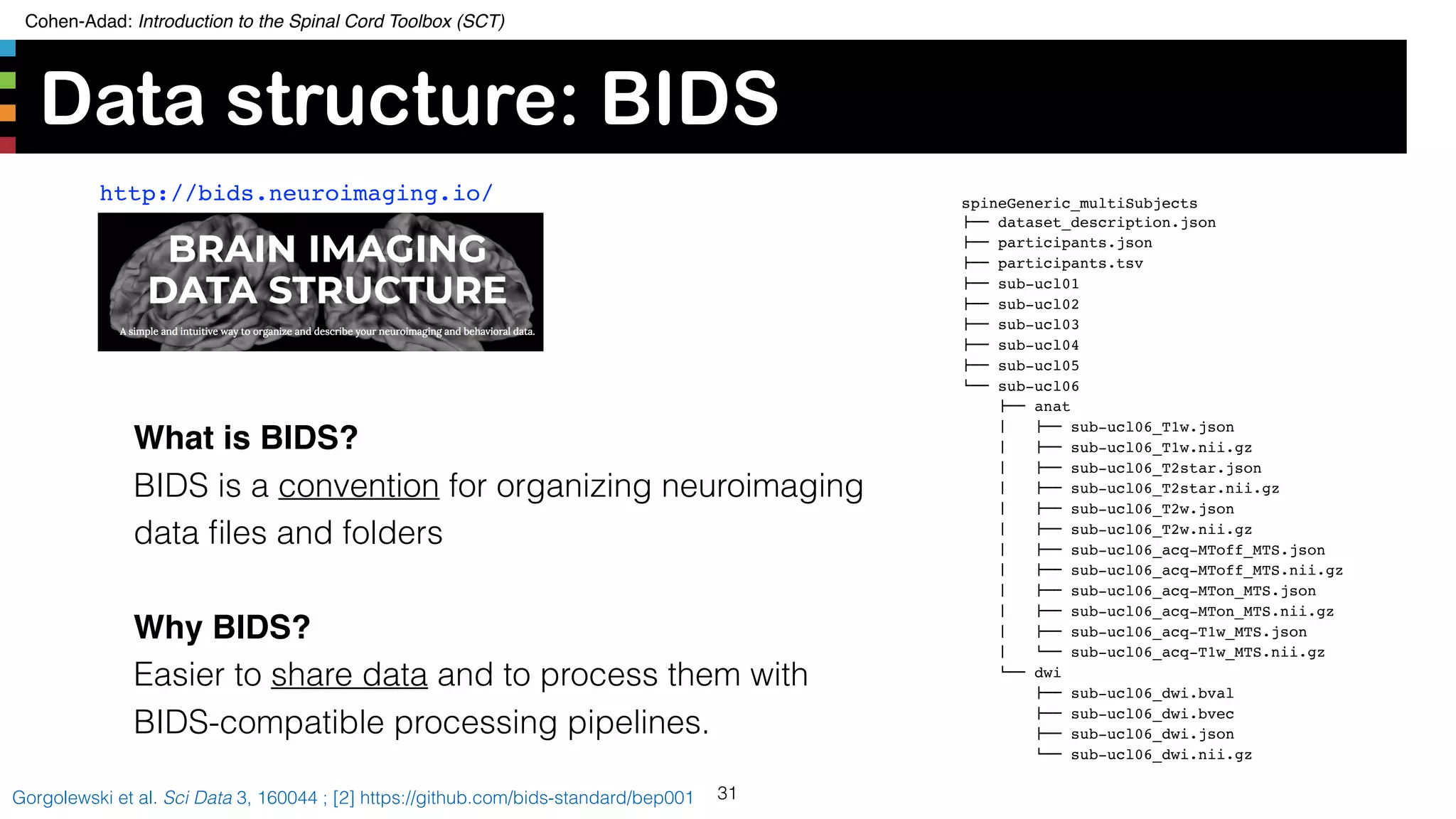 Cohen-Adad: Introduction to the Spinal Cord Toolbox (SCT)
Data structure: BIDS
31Gorgolewski et al. Sci Data 3, 160044 ; [2] https://github.com/bids-standard/bep001
http://bids.neuroimaging.io/ spineGeneric_multiSubjects
!"" dataset_description.json
!"" participants.json
!"" participants.tsv
!"" sub-ucl01
!"" sub-ucl02
!"" sub-ucl03
!"" sub-ucl04
!"" sub-ucl05
#"" sub-ucl06
   !"" anat
   $   !"" sub-ucl06_T1w.json
   $   !"" sub-ucl06_T1w.nii.gz
   $   !"" sub-ucl06_T2star.json
   $   !"" sub-ucl06_T2star.nii.gz
   $   !"" sub-ucl06_T2w.json
   $   !"" sub-ucl06_T2w.nii.gz
   $   !"" sub-ucl06_acq-MToff_MTS.json
   $   !"" sub-ucl06_acq-MToff_MTS.nii.gz
   $   !"" sub-ucl06_acq-MTon_MTS.json
   $   !"" sub-ucl06_acq-MTon_MTS.nii.gz
   $   !"" sub-ucl06_acq-T1w_MTS.json
   $   #"" sub-ucl06_acq-T1w_MTS.nii.gz
   #"" dwi
   !"" sub-ucl06_dwi.bval
   !"" sub-ucl06_dwi.bvec
   !"" sub-ucl06_dwi.json
   #"" sub-ucl06_dwi.nii.gz
What is BIDS?
BIDS is a convention for organizing neuroimaging
data ﬁles and folders
Why BIDS?
Easier to share data and to process them with
BIDS-compatible processing pipelines.
 