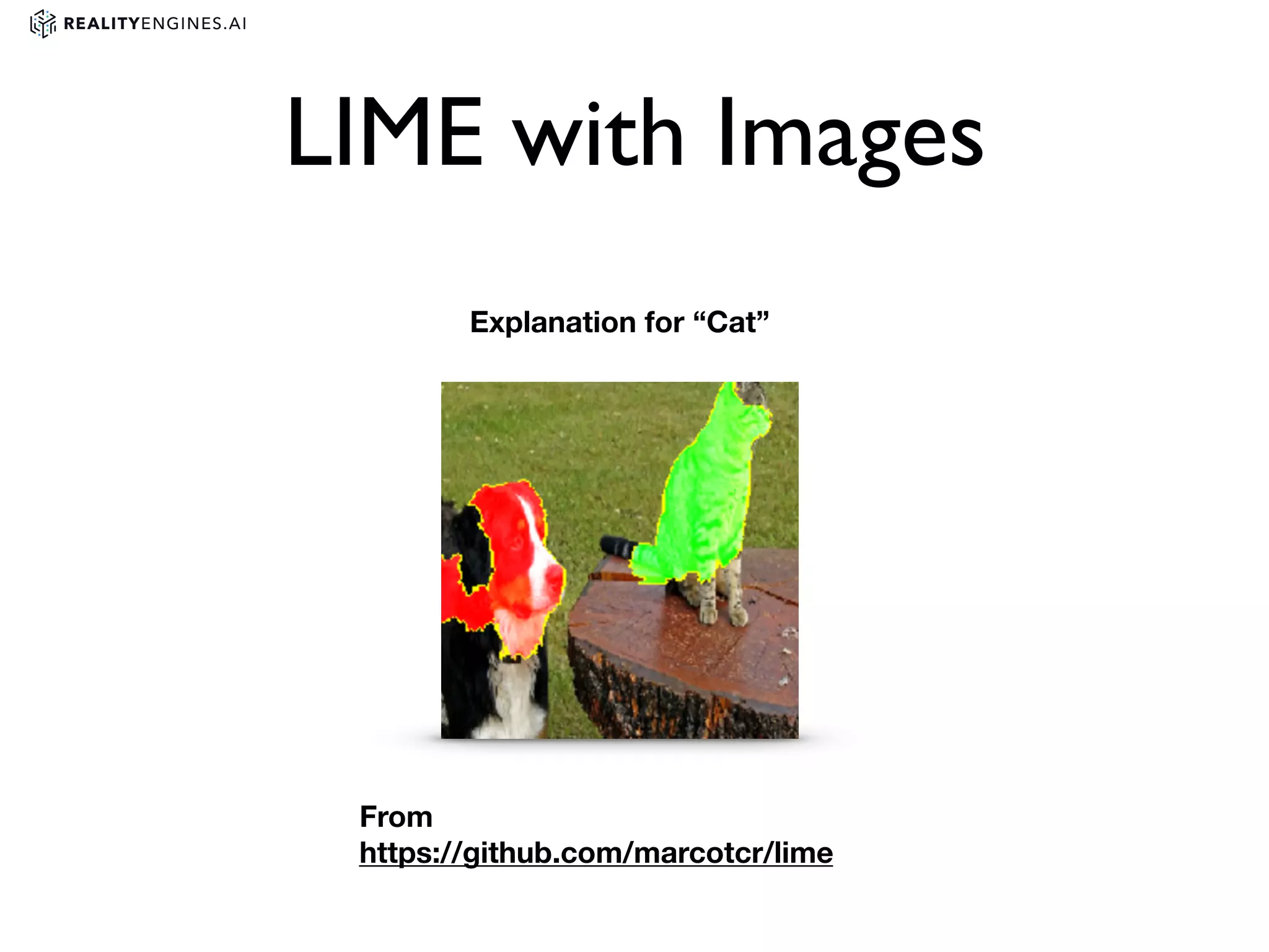 Explanation for “Cat”
LIME with Images
From
https://github.com/marcotcr/lime
 