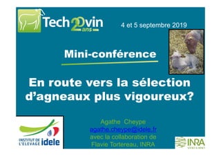 En route vers la sélection
d’agneaux plus vigoureux?
4 et 5 septembre 2019
Mini-conférence
Agathe Cheype
agathe.cheype@idele.fr
avec la collaboration de
Flavie Tortereau, INRA
 