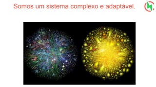 Somos um sistema complexo e adaptável.
 