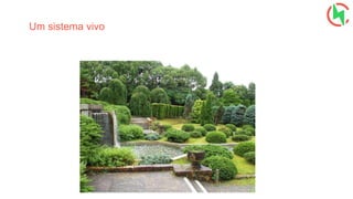 Um sistema vivo
 