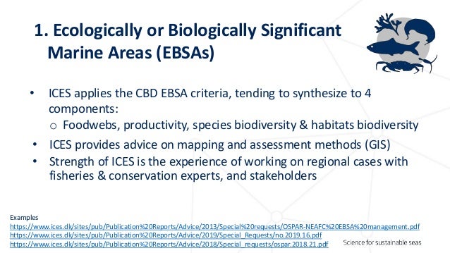 ICES - evidence provider to Ecosystem Based Management (EBM)