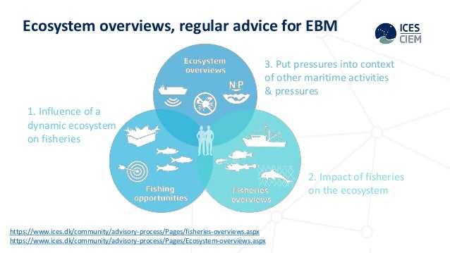 ICES - evidence provider to Ecosystem Based Management (EBM)