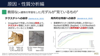 原因・性質分析編
#55
脆弱な(≈通常の学習をした)モデルが”⾒ているもの”
テクスチャへの依存 局所的な特徴への依存[Geirhos et al., 2019] [Brendel et al., 2019]
• ImageNetで学習したCNNは形状より,
テクスチャ情報に⼤きく依存した意思
決定をしていることを確認.
• 需要野が⼩さく局所的な特徴しか⾒れない
ResNetの変異型 (BagNet) と元のResNetの
類似性の⾼さから局所特徴への依存を指摘.
Geirhos et al., “ImageNet-trained CNNs are biased towards texture; increasing shape bias improves accuracy and robustness”, ICLR 2019.
Brendel et al., “Approximating CNNs with Bag-of-local-Features models works surprisingly well on ImageNet”, ICLR 2019.
tabby cat
grey fox
Siamese cat
71.1%
17.3%
3.3%
63.9%
26.4%
9.6%
Indian elephant
indri
black swan
画像中でどの程度まで離れた矩形領域が特徴量に影響するか
 