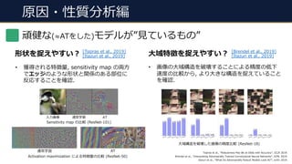 原因・性質分析編
頑健な(≈ATをした)モデルが”⾒ているもの”
形状を捉えやすい︖ ⼤域特徴を捉えやすい︖[Tsipras et al., 2019]
[Itazuri et al., 2019]
[Brendel et al., 2019]
[Itazuri et al., 2019]
• 獲得される特徴量, sensitivity map の両⽅
でエッジのような形状と関係のある部位に
反応することを確認.
• 画像の⼤域構造を破壊することによる精度の低下
速度の⽐較から, より⼤きな構造を捉えていること
を確認.
Tsipras et al., “Robustness May Be at Odds with Accuracy”, ICLR 2019.
Brendel et al., “Interpreting Adversarially Trained Convolutional Neural Networks”, ICML 2019.
Itazuri et al., “What Do Adversarially Robust Models Look At?”, arXiv 2019.
⼊⼒画像
Sensitivity map の⽐較 (ResNet-101)
通常学習 AT
Activation maximization による特徴量の⽐較 (ResNet-50)
通常学習 AT
⼤域構造を破壊した画像の精度⽐較 (ResNet-18)
 