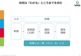 ©2019 kaleidosolutions inc. all rights reserved
知覚は「わかる」ところまでを含む
知覚入力
刺激
感覚器
（五感）
識別
認識
意味
理解
知覚とは「覚（さと）る」こと
38
 