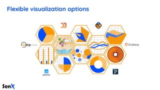 Flexible visualization options
 