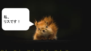私、
リスです！
 