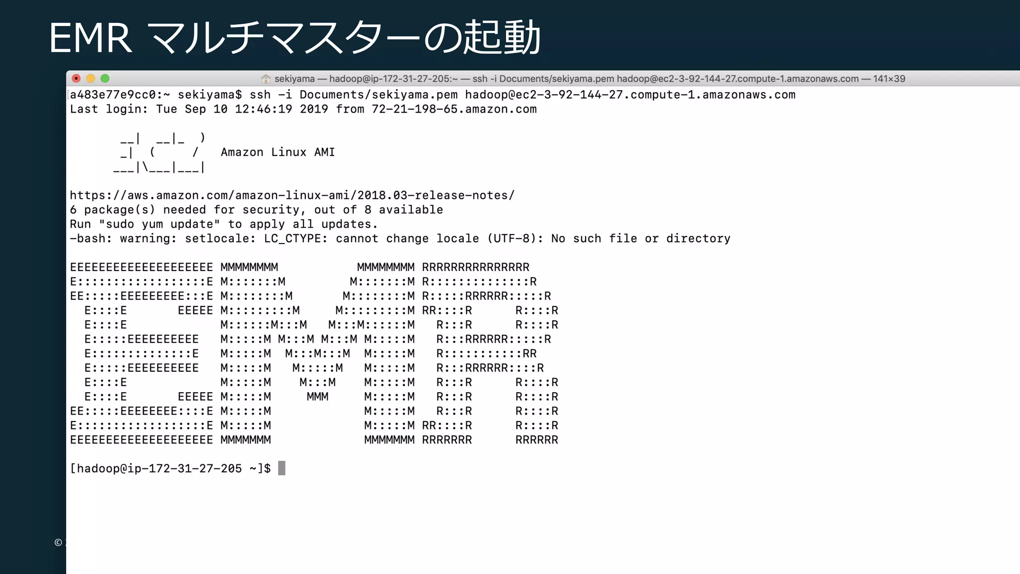 © 2019, Amazon Web Services, Inc. or its Affiliates. All rights reserved.
EMR マルチマスターの起動
 