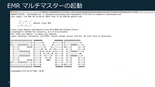 © 2019, Amazon Web Services, Inc. or its Affiliates. All rights reserved.
EMR マルチマスターの起動
 