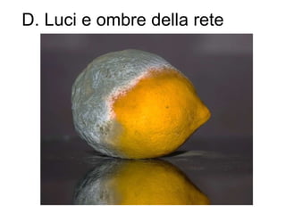 D. Luci e ombre della rete
 