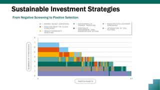 Sustainable Investment Strategies
From Negative Screening to Positive Selection
 