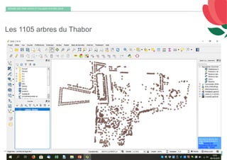 11 octobre 2019
REMISE DES PRIX VILLES ET VILLAGES FLEURIS 2019
32
Les 1105 arbres du Thabor
 