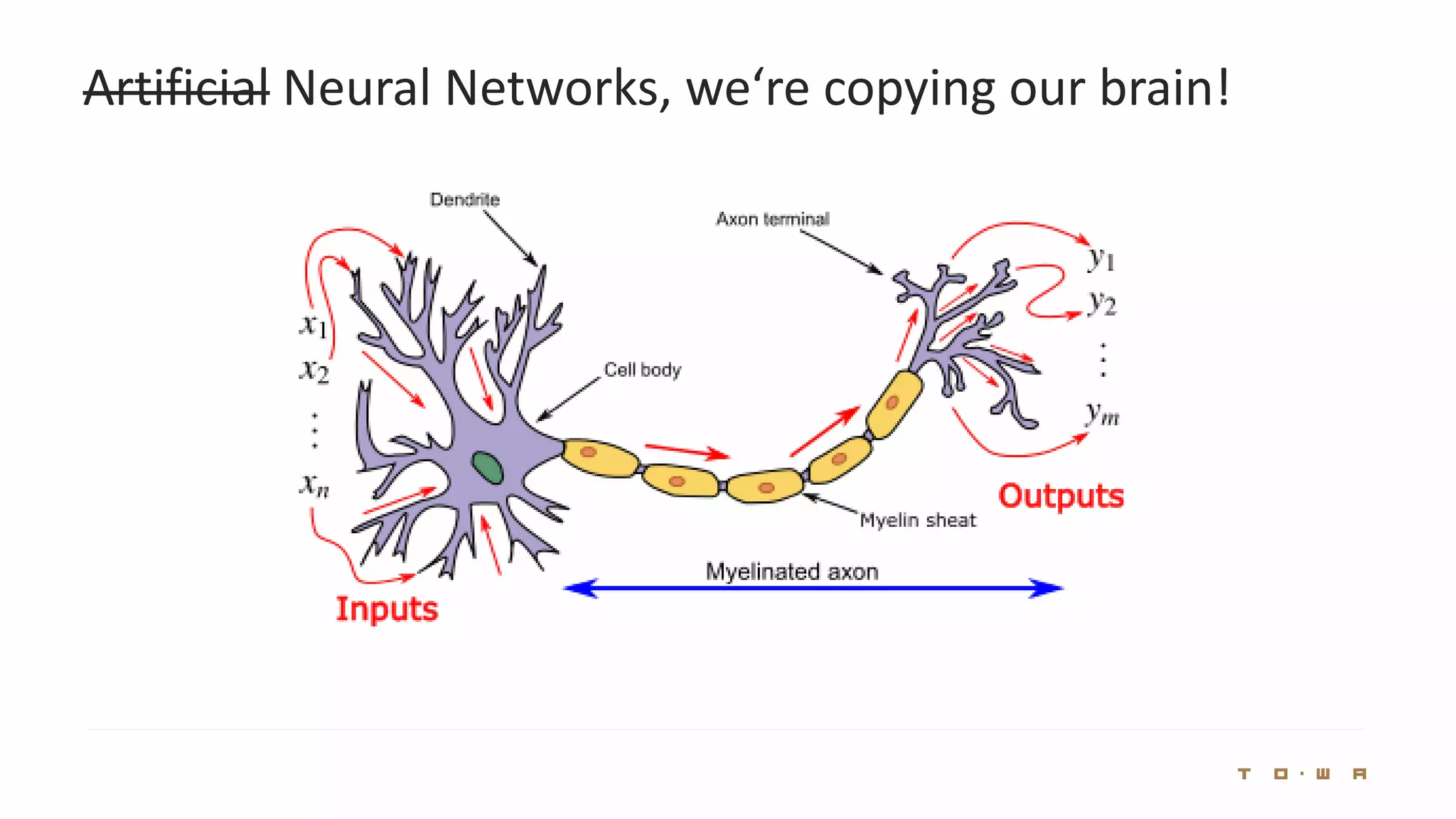 Artificial Neural Networks, we‘re copying our brain!
 