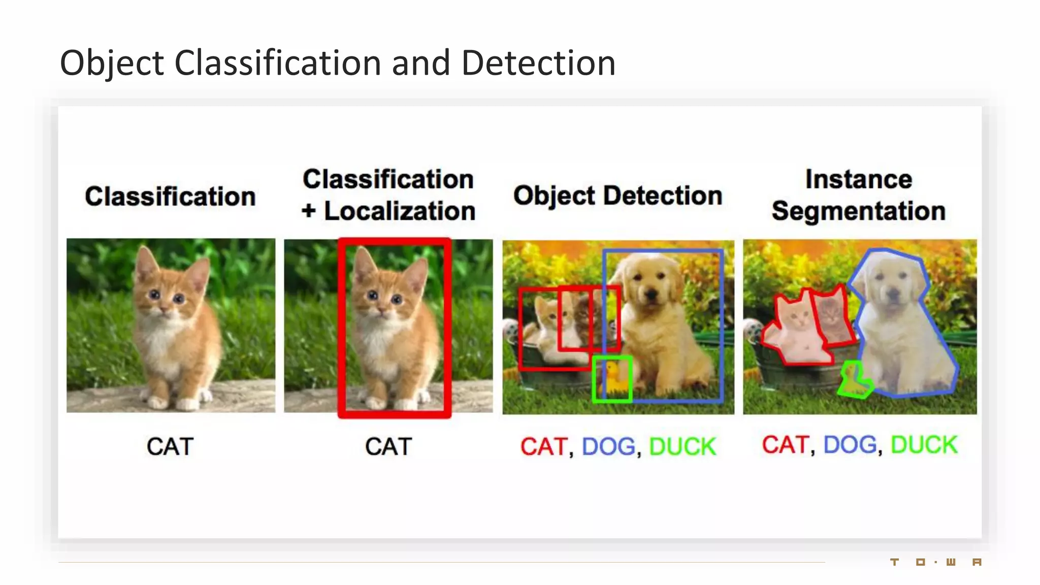 Object Classification and Detection
 