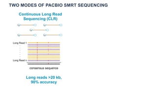 TWO MODES OF PACBIO SMRT SEQUENCING
Continuous Long Read
Sequencing (CLR)
consensus sequence
Long Read 1
.
.
.
.
.
.
.
Lon...