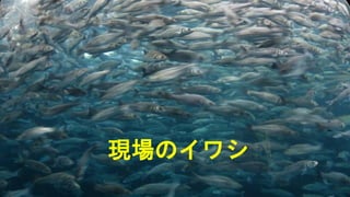 ֳΥ亮
 