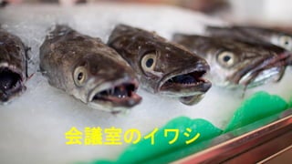 ҤΥ亮
 