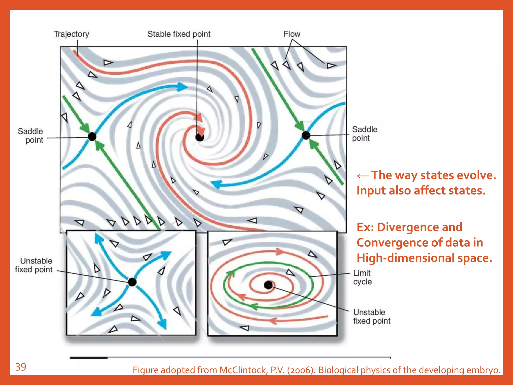 Figure adopted from McClintock, P.V. (2006). Biological physics of the developing embryo.
←The way states evolve.
Input also affect states.
Ex: Divergence and
Convergence of data in
High-dimensional space.
39
 