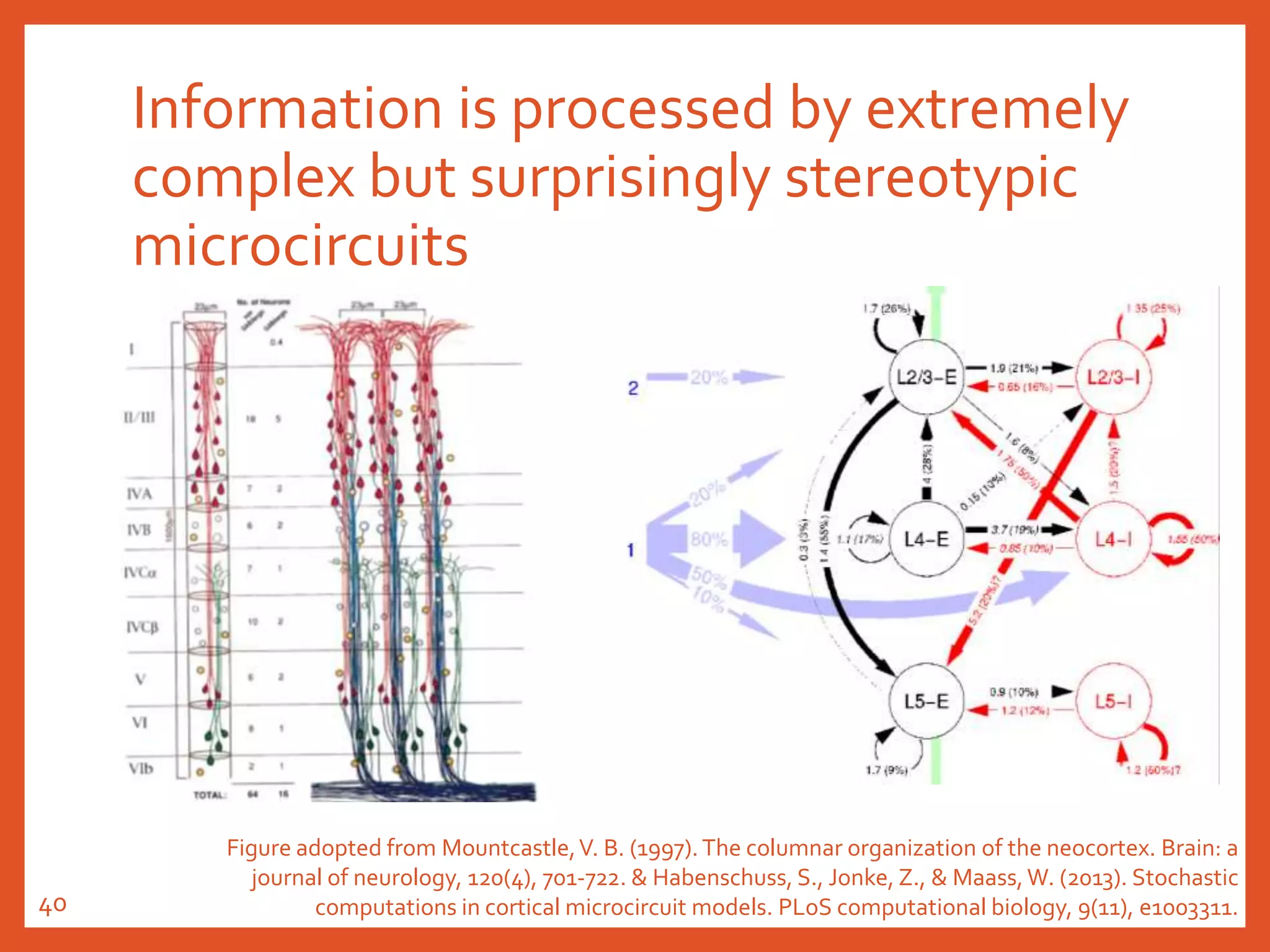 Information is processed by extremely
complex but surprisingly stereotypic
microcircuits
Figure adopted from Mountcastle,V. B. (1997).The columnar organization of the neocortex. Brain: a
journal of neurology, 120(4), 701-722. & Habenschuss, S., Jonke, Z., & Maass,W. (2013). Stochastic
computations in cortical microcircuit models. PLoS computational biology, 9(11), e1003311.40
 