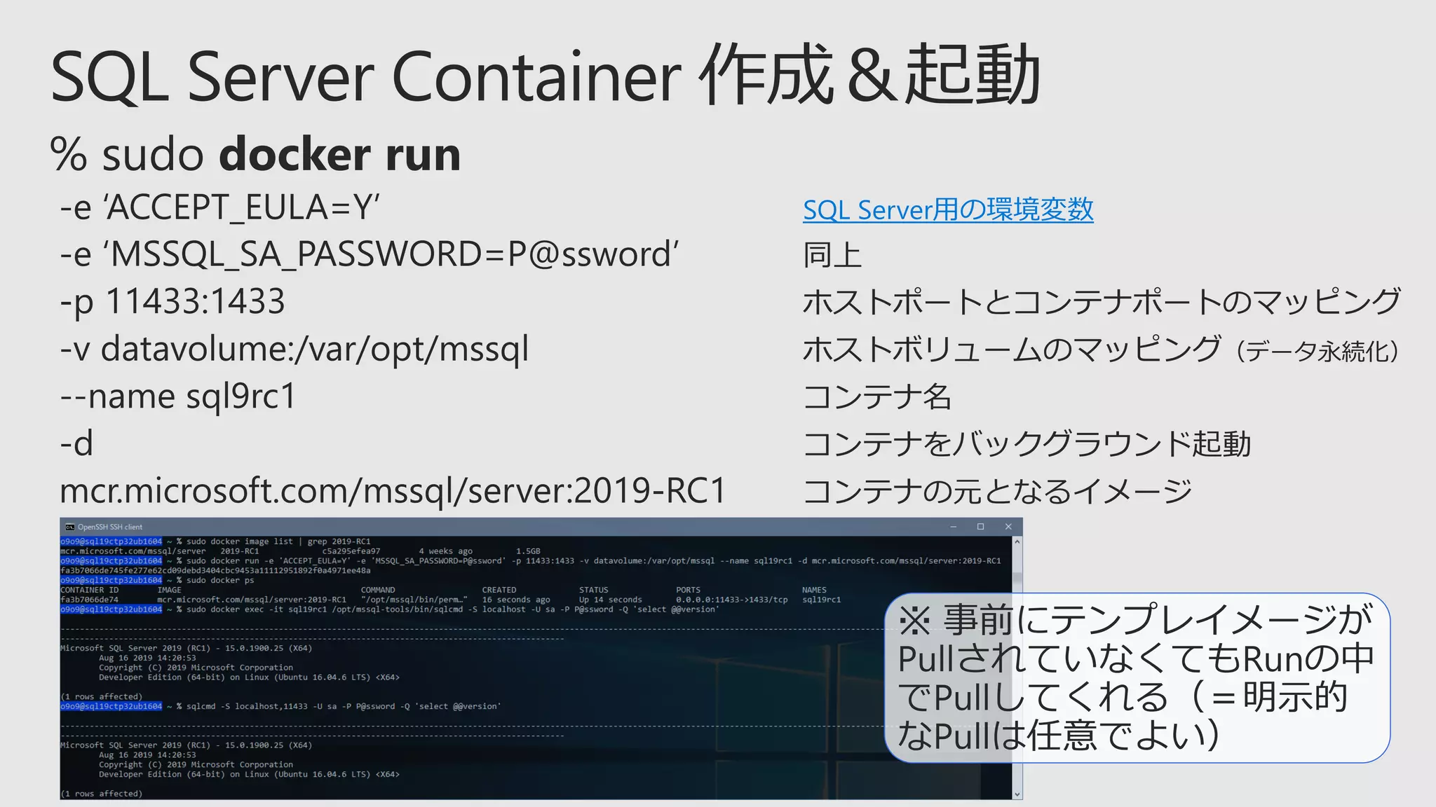 SQL Server用の環境変数
 