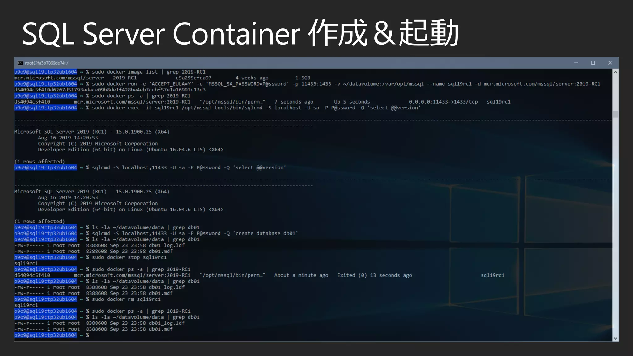 SQL Server Container 作成＆起動
 