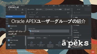 APEXユーザーグループ
2019年11月
Oracle APEXユーザーグループの紹介
Copyright © 2018, Oracle and/or its affiliates. All rights reserved.1
 
