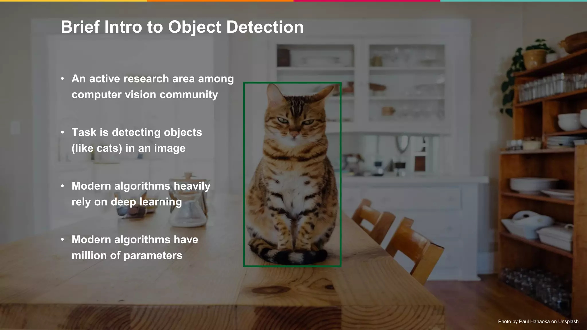 5
Brief Intro to Object Detection
• An active research area among
computer vision community
• Task is detecting objects
(like cats) in an image
• Modern algorithms heavily
rely on deep learning
• Modern algorithms have
million of parameters
Photo by Paul Hanaoka on Unsplash
 
