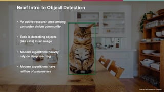 5
Brief Intro to Object Detection
• An active research area among
computer vision community
• Task is detecting objects
(like cats) in an image
• Modern algorithms heavily
rely on deep learning
• Modern algorithms have
million of parameters
Photo by Paul Hanaoka on Unsplash
 