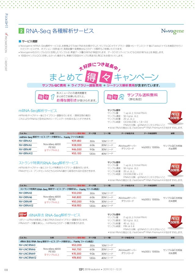 201910 Up Magazine Amp Promotions 2019 Autumn