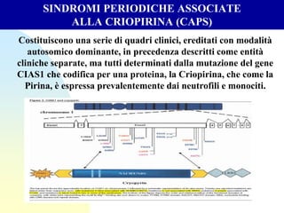 SINDROMI PERIODICHE ASSOCIATE
ALLA CRIOPIRINA (CAPS)
Costituiscono una serie di quadri clinici, ereditati con modalità
autosomico dominante, in precedenza descritti come entità
cliniche separate, ma tutti determinati dalla mutazione del gene
CIAS1 che codifica per una proteina, la Criopirina, che come la
Pirina, è espressa prevalentemente dai neutrofili e monociti.
 