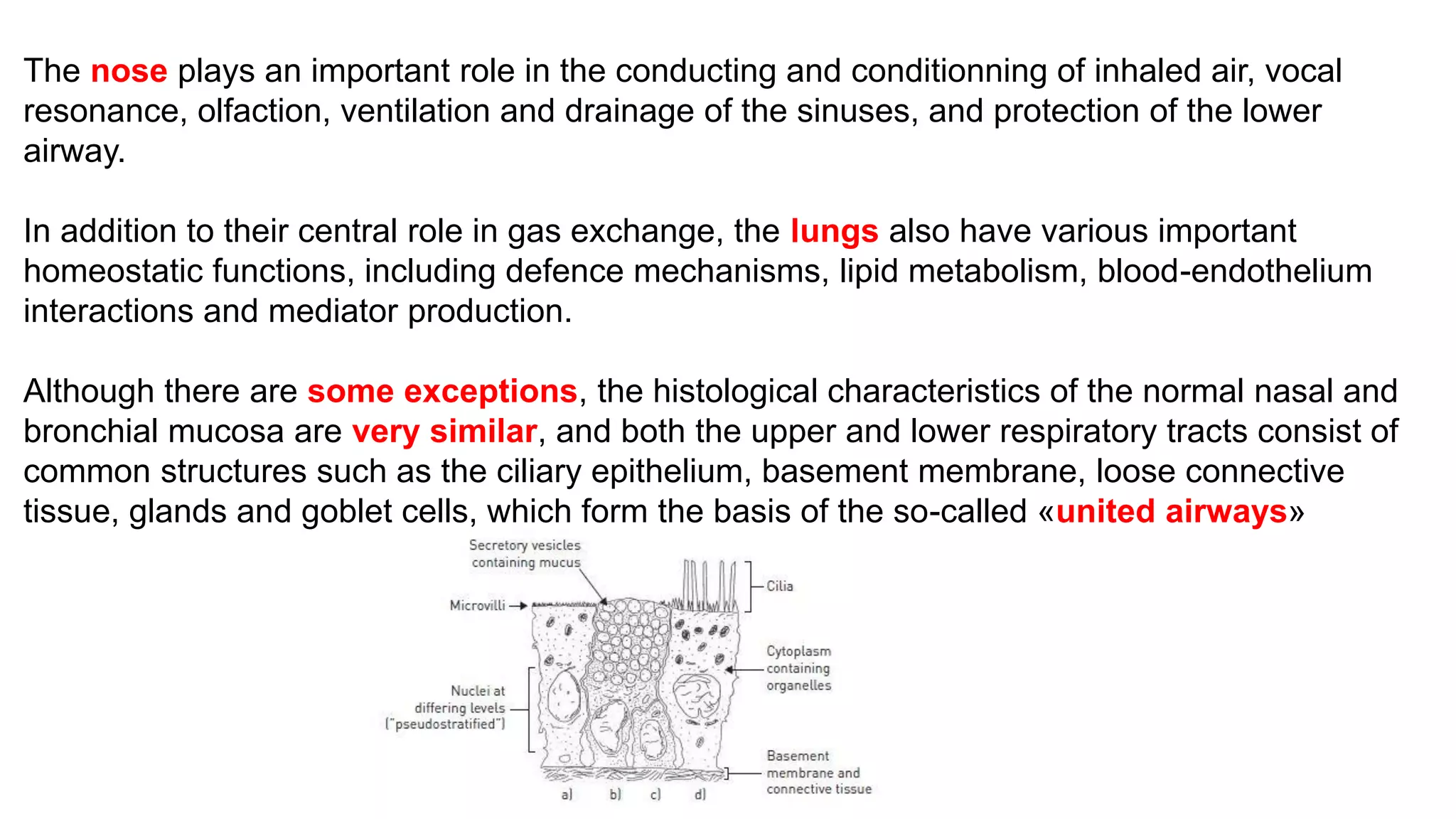 The Mycological Mechanism of White-Nose Syndrome