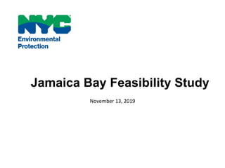 Jamaica Bay Feasibility Study
November 13, 2019
 