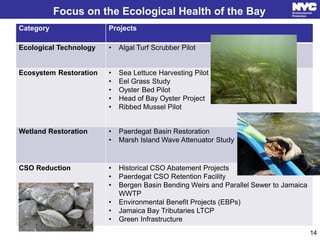 Focus on the Ecological Health of the Bay
Category Projects
Ecological Technology • Algal Turf Scrubber Pilot
Ecosystem Restoration • Sea Lettuce Harvesting Pilot
• Eel Grass Study
• Oyster Bed Pilot
• Head of Bay Oyster Project
• Ribbed Mussel Pilot
Wetland Restoration • Paerdegat Basin Restoration
• Marsh Island Wave Attenuator Study
CSO Reduction • Historical CSO Abatement Projects
• Paerdegat CSO Retention Facility
• Bergen Basin Bending Weirs and Parallel Sewer to Jamaica
WWTP
• Environmental Benefit Projects (EBPs)
• Jamaica Bay Tributaries LTCP
• Green Infrastructure
14
 