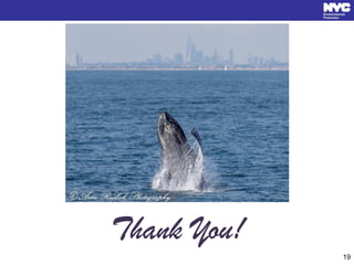 Thank You!
19
 