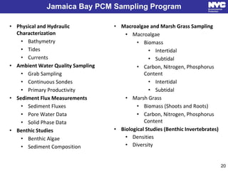 Jamaica Bay PCM Sampling Program
• Macroalgae and Marsh Grass Sampling
• Macroalgae
• Biomass
• Intertidal
• Subtidal
• Carbon, Nitrogen, Phosphorus
Content
• Intertidal
• Subtidal
• Marsh Grass
• Biomass (Shoots and Roots)
• Carbon, Nitrogen, Phosphorus
Content
• Biological Studies (Benthic Invertebrates)
• Densities
• Diversity
20
• Physical and Hydraulic
Characterization
• Bathymetry
• Tides
• Currents
• Ambient Water Quality Sampling
• Grab Sampling
• Continuous Sondes
• Primary Productivity
• Sediment Flux Measurements
• Sediment Fluxes
• Pore Water Data
• Solid Phase Data
• Benthic Studies
• Benthic Algae
• Sediment Composition
 