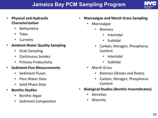 Jamaica Bay PCM Sampling Program
• Macroalgae and Marsh Grass Sampling
• Macroalgae
• Biomass
• Intertidal
• Subtidal
• Ca...